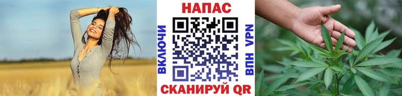 Купить где  Иноземцево  Канабис индика 